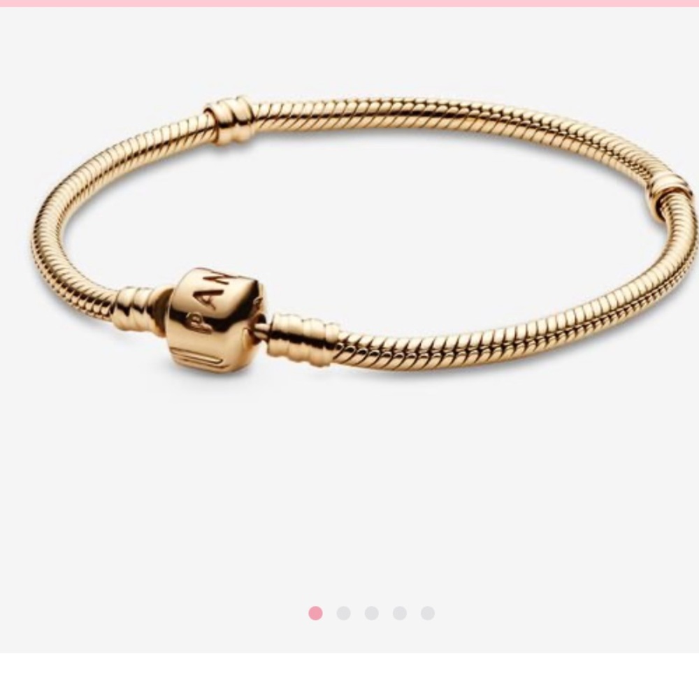 Pandora snake chain bracelet